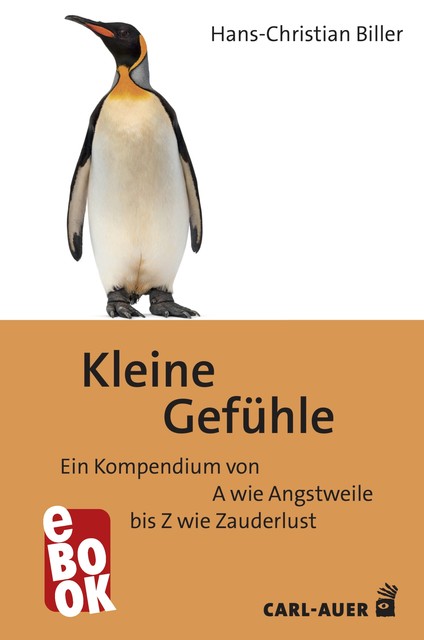 Kleine Gefühle, Hans-Christian Biller