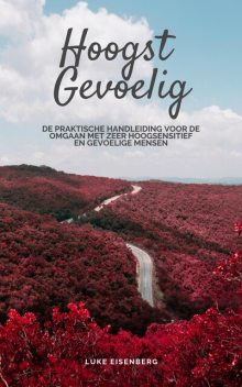 Hoogst Gevoelig, Luke Eisenberg