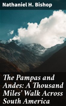 The Pampas and Andes: A Thousand Miles' Walk Across South America, Nathaniel H.Bishop