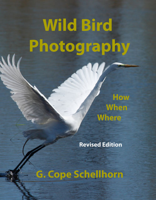 Wild Bird Photography: How, When, Where, G.Cope Schellhorn