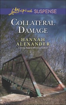 Collateral Damage, Hannah Alexander