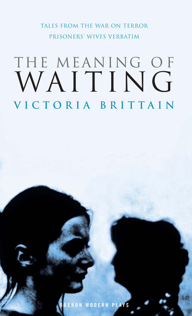 The Meaning of Waiting, Victoria Brittain