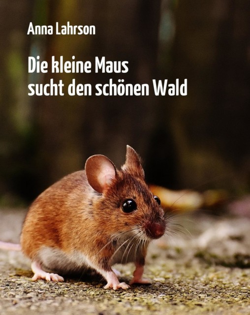 Die kleine Maus sucht den schönen Wald, Anna Lahrson