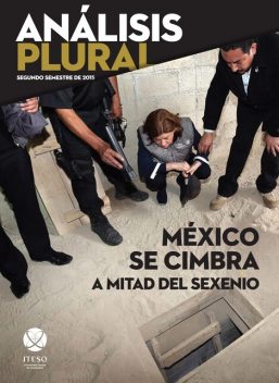 México se cimbra a mitad del sexenio (Análisis Plural), Jorge García, José Bautista Farías, Luis Ignacio Roman Morales, Juan Carlos Nuñez Bustillos, Francisco Javier Núñez de la Peña, Jorge Enrique Rocha Quintero, Sergio Negrete Cárdenas, Alejandro Cárdenas López, Ricardo Manuel S, Rubén Martín Martín