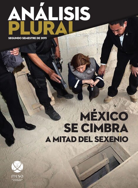 México se cimbra a mitad del sexenio (Análisis Plural), Jorge García, José Bautista Farías, Luis Ignacio Roman Morales, Juan Carlos Nuñez Bustillos, Francisco Javier Núñez de la Peña, Jorge Enrique Rocha Quintero, Sergio Negrete Cárdenas, Alejandro Cárdenas López, Ricardo Manuel S, Rubén Martín Martín