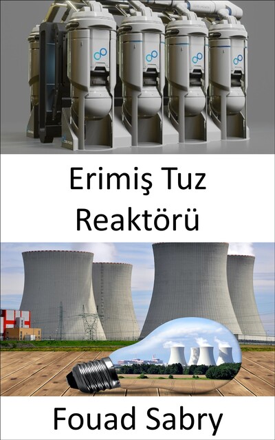 Erimiş Tuz Reaktörü, Fouad Sabry