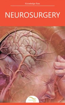 Neurosurgery Essential, Knowledge flow