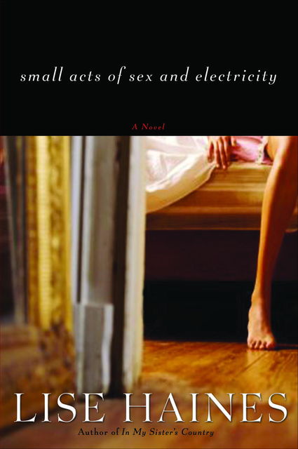Small Acts of Sex and Electricity, Lise Haines