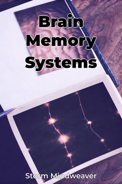 Brain Memory Systems, Storm Mindweaver