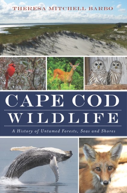 Cape Cod Wildlife, Theresa Mitchell Barbo