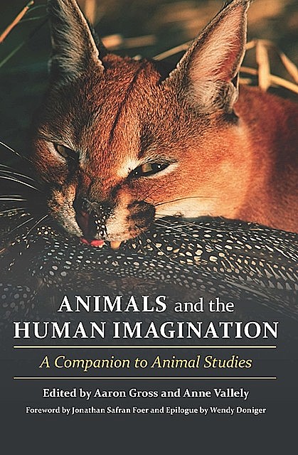 Animals and the Human Imagination, Anne Vallely, Edited by Aaron Gross, Epilogue by Wendy Doniger, Foreword by Jonathan Safran Foer