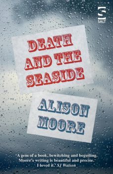 Death and the Seaside, Alison Moore