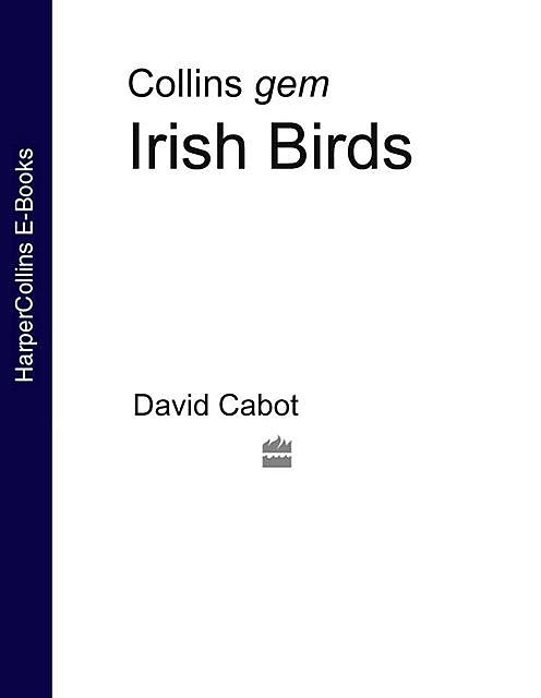 Irish birds, David Cabot