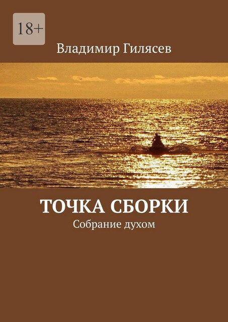 Точка сборки. Собрание духом, Владимир Гилясев