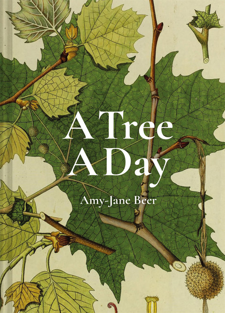 The Tree A Day, Amy-Jane Beer