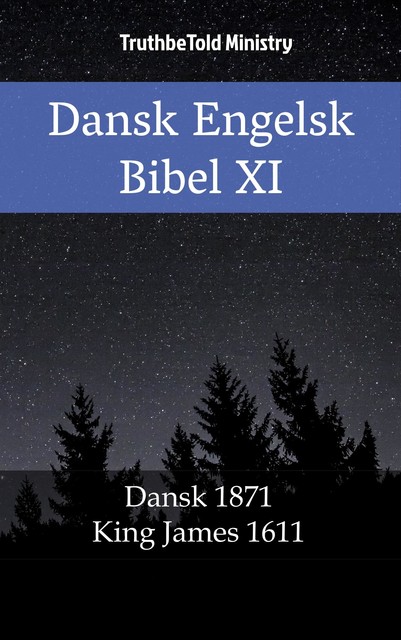 Dansk Engelsk Bibel XI, Joern Andre Halseth