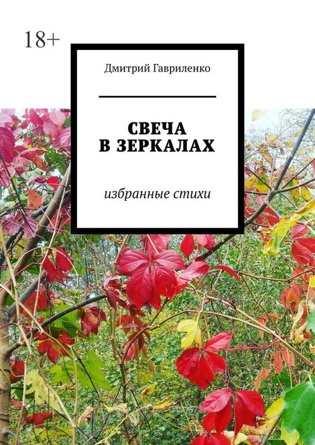 Свеча в зеркалах. Избранные стихи, Дмитрий Гавриленко