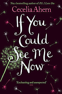 If You Could See Me Now, Cecelia Ahern