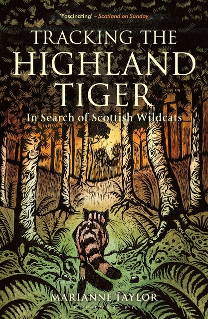 Tracking The Highland Tiger, Marianne Taylor