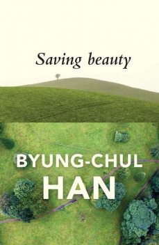 Saving Beauty, Byung-Chul Han, Daniel Steuer