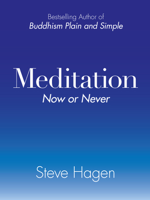 Meditation, Steve Hagen