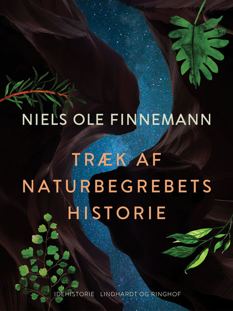 Træk af naturbegrebets historie, Niels Ole Finnemann