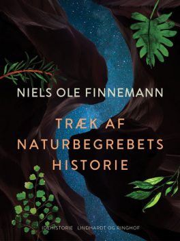 Træk af naturbegrebets historie, Niels Ole Finnemann