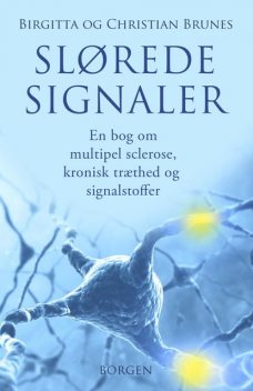 Slørede signaler, Christian Brunes Birgitta