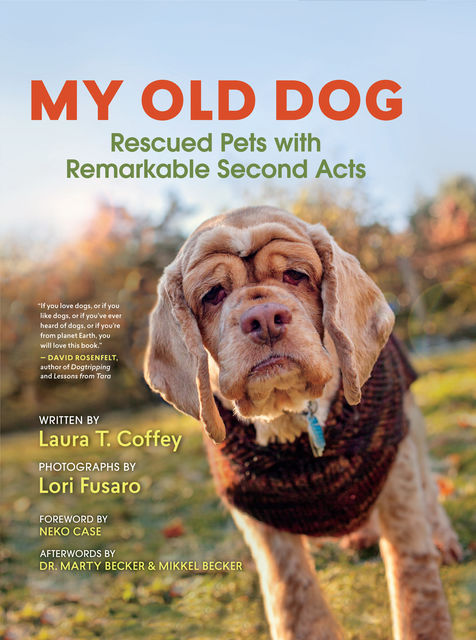My Old Dog, Laura T.Coffey