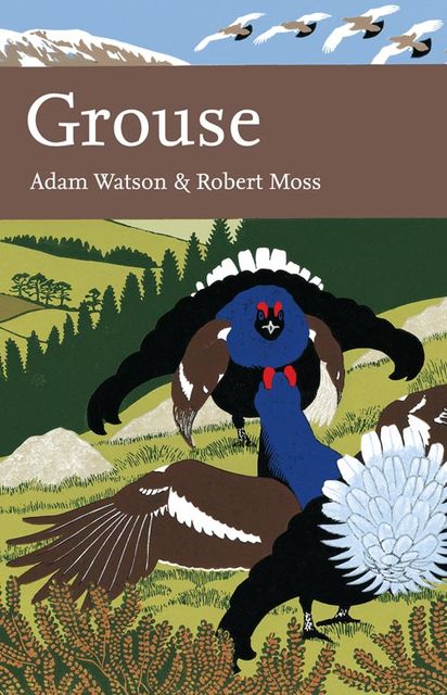 Grouse (Collins New Naturalist Library, Book 107), Robert Moss, Adam Watson