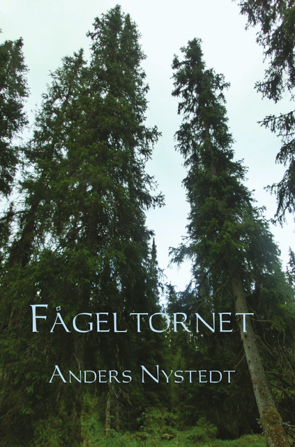 Fågeltornet, Anders Nystedt