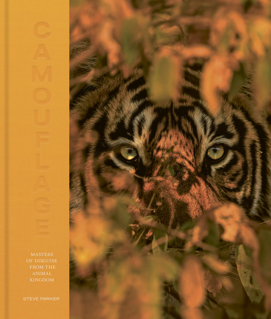 Camouflage, Steve Parker