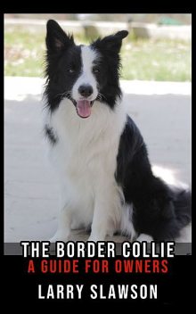 The Border Collie, Larry Slawson