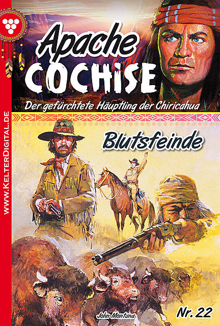 Apache Cochise 22 – Western, John Montana