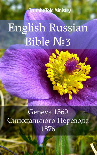 English Russian Bible №3, Joern Andre Halseth