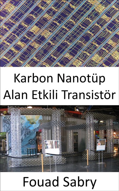 Karbon Nanotüp Alan Etkili Transistör, Fouad Sabry