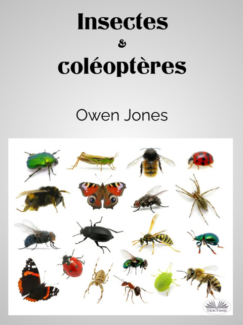 Insectes Et Coléoptères, Owen Jones
