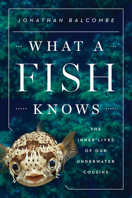 What a Fish Knows, Jonathan Balcombe