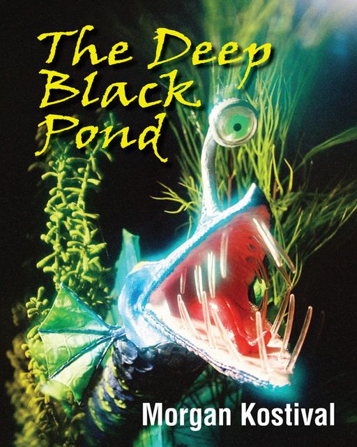 The Deep Black Pond, Michael Kostival