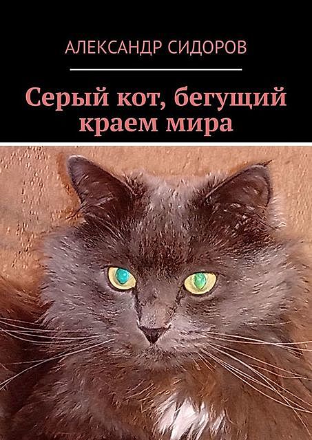 Серый кот, бегущий краем мира, Александр Сидоров