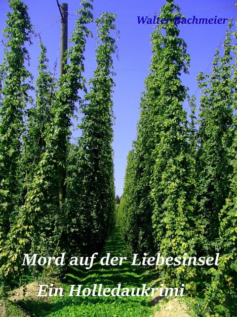 Mord auf der Liebesinsel, Walter Bachmeier