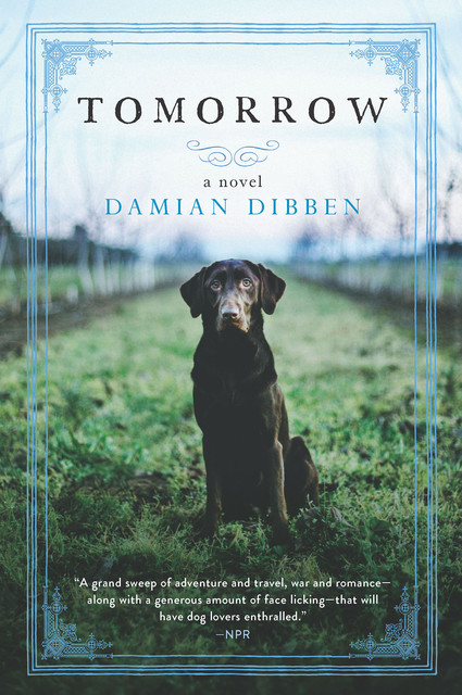 Tomorrow, Damian Dibben