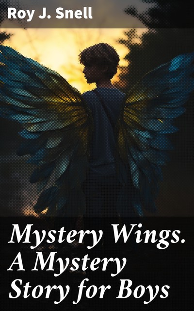 Mystery Wings A Mystery Story for Boys, Roy J.Snell