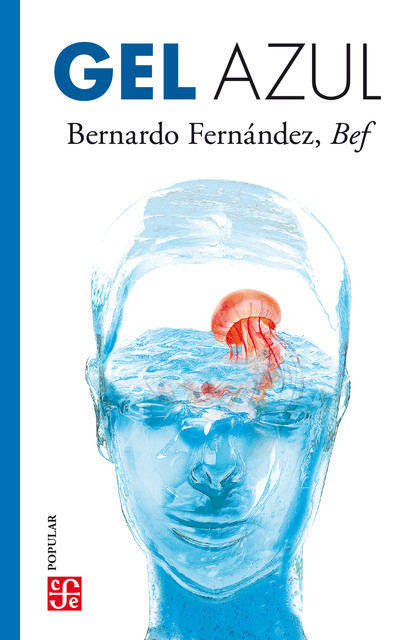 Gel azul, Bernardo Fernández