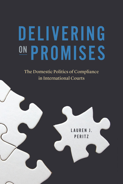 Delivering on Promises, Lauren J. Peritz
