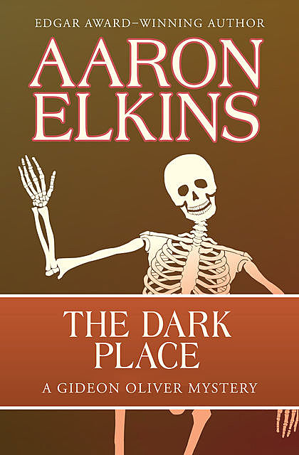 The Dark Place, Aaron Elkins