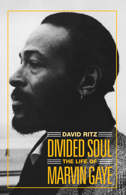 Divided Soul: The Life Of Marvin Gaye, David Ritz