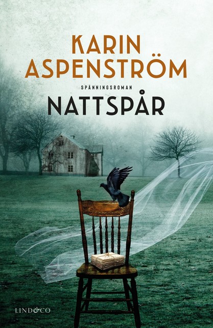 Nattspår, Karin Aspenström