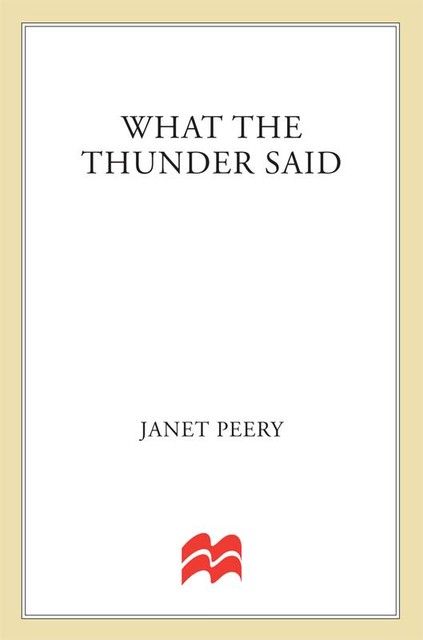 What the Thunder Said, Janet Peery