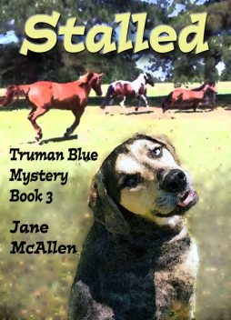 Stalled, Jane McAllen